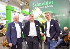 The sales men of Schneider Young Plants. from left to right Anton, Evert-Jan and Leon. "Customers have found their way to Schneider as their perennial supplier."